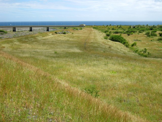 On pourrait élever ici un troupeau de moutons gratuitement