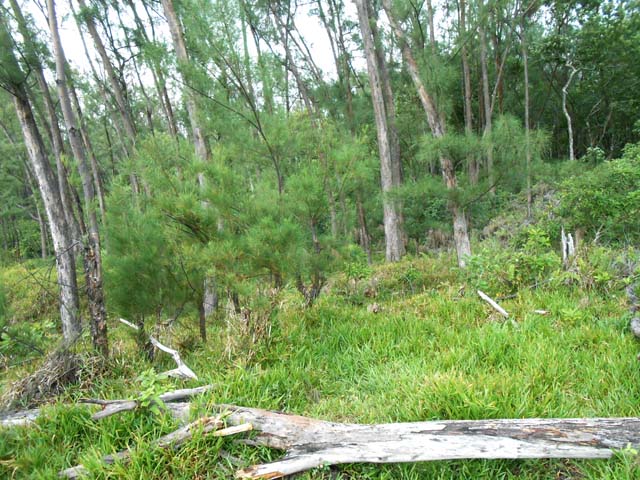 Courtes mais agréables portions en bordure littorale