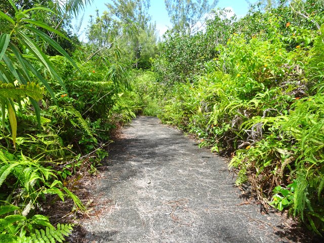 Elle comporte quelques portions bétonnées, plus difficiles à envahir