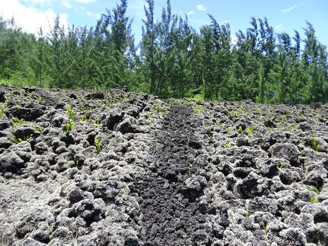 Traversée de la coulée de 2001, peu de temps après le départ