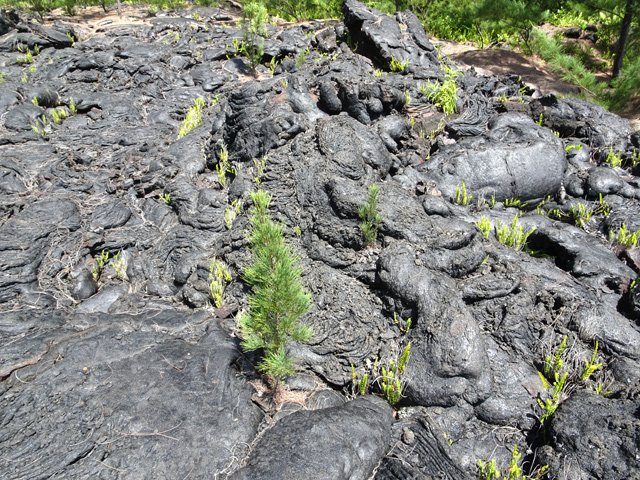 Cette coulée s'est arrêtés au plus près de la côte