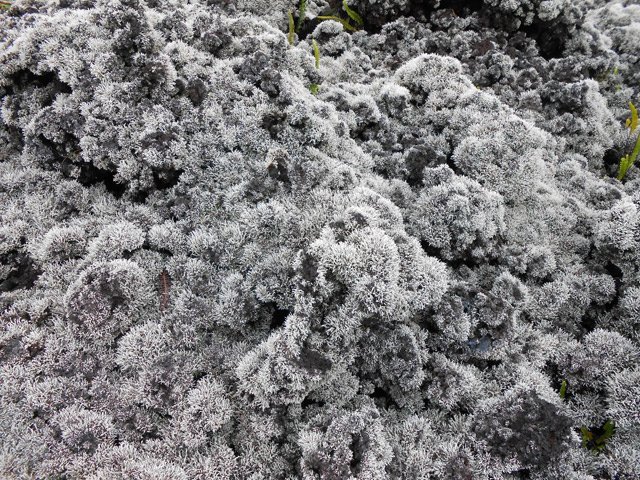 Certaines couches sont assez épaisses et friables