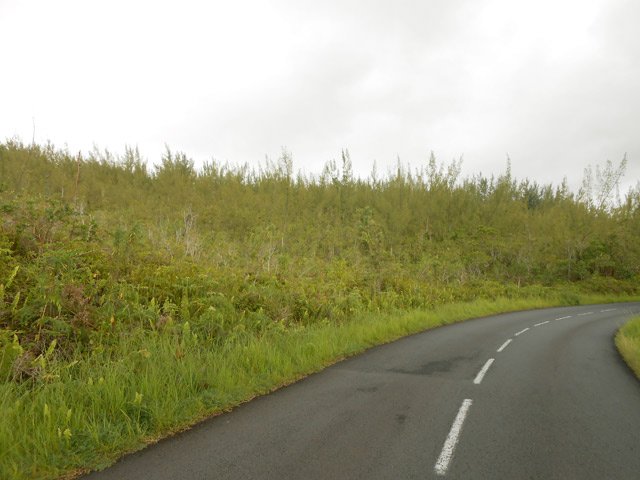 Retour sur la route pour une portion goudronnée agréable malgré la circulation