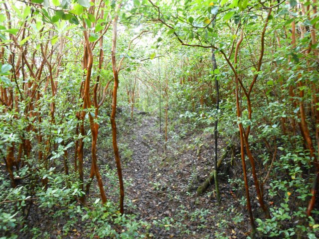 Nombreuses portions très plates où la marche est rapide