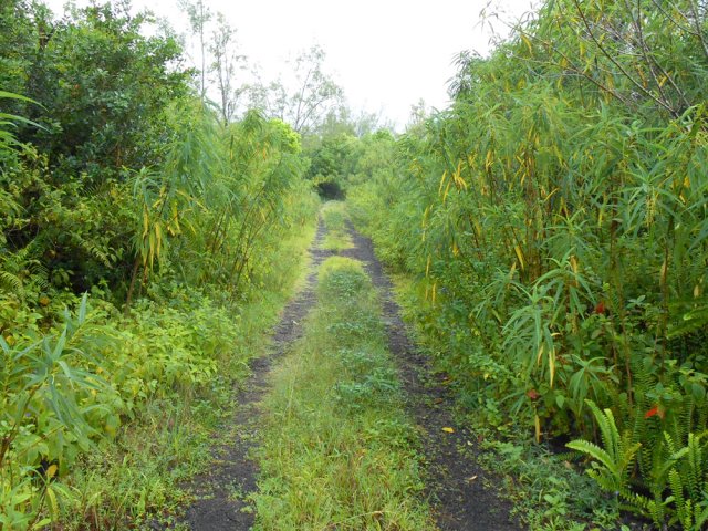 On retrouve pourtant de beaux tronçons dégagés