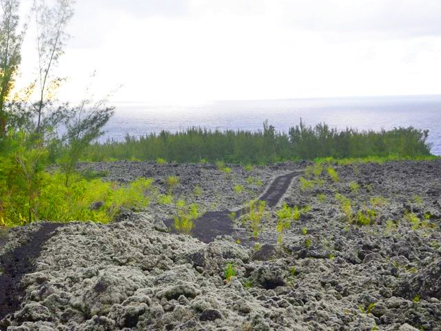 On aperçoit la piste qu'on empruntera bientôt