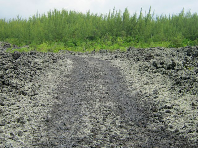 Marche très facile sur cette large piste de gratons concassés