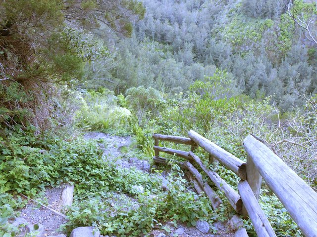 Descente vers le Bras de Benjoin