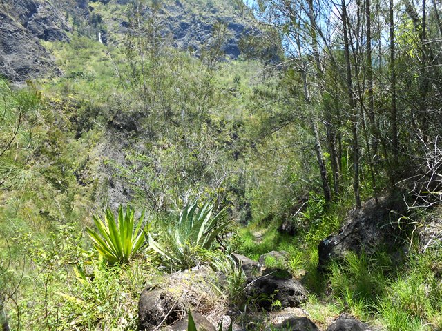 Le début de sentier vers l'Îlet Haute
