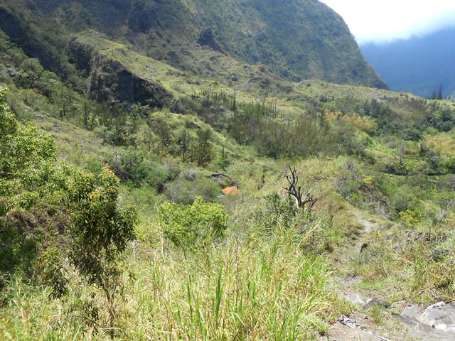 On aperçoit déjà les premières cases de l'Îlet Haute