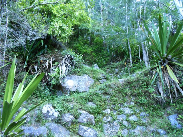 Une portion de sentier étroit du sentier de Bras Sec
