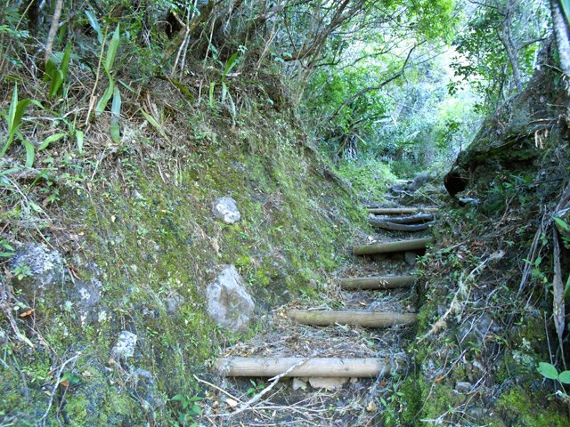 Le sentier qui s'approche du Bonnet de Prêtre