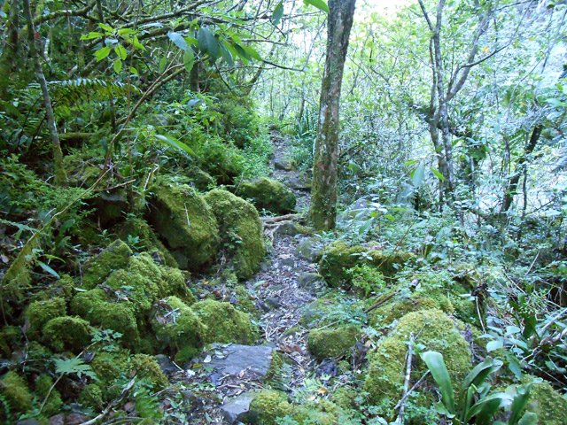 Une portion de sentier des Calumets