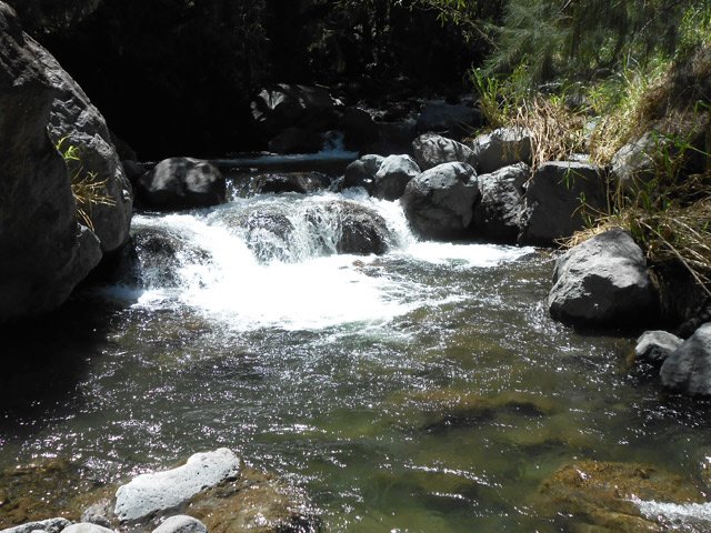 Traversée du Petit Bras de Cilaos
