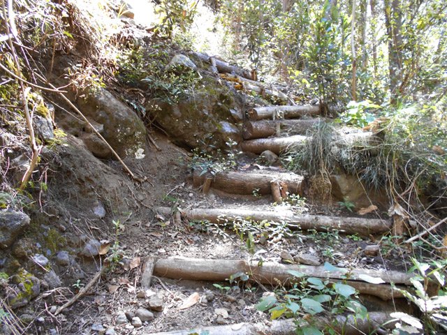 Forte montée suivie d'un aussi forte descente durant la jonction avec le Petit Bras de Cilaos