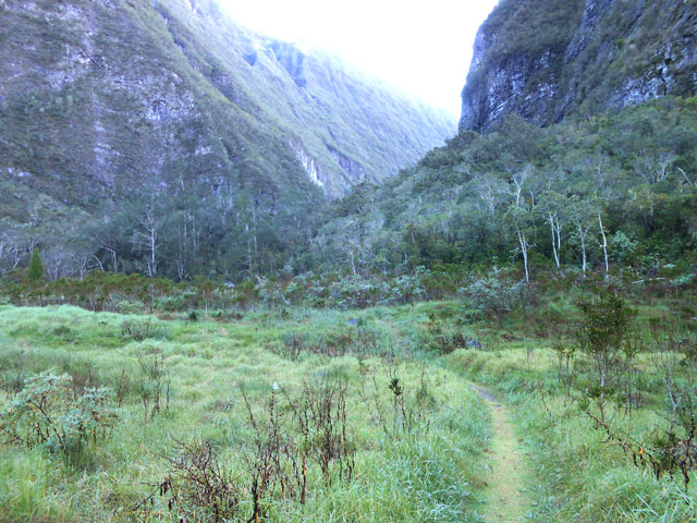 La traversée du Plateau de la Mare à Montfleury