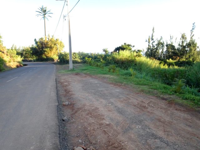 Le parking juste avant la déchetterie et son palmier-antenne en béton