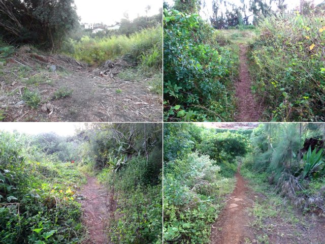 Quelques portions du sentier partant de la déchetterie