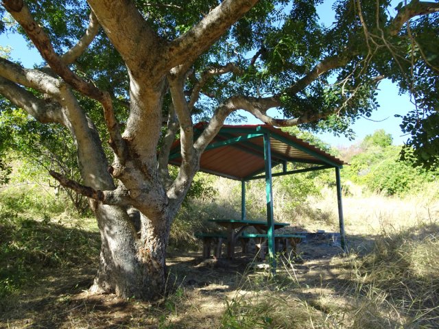 Arrivée aux trois kiosques, dont un bien ombragé