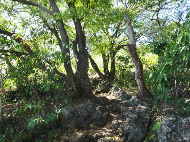 Partir à droite sur ce sol envahi de roches