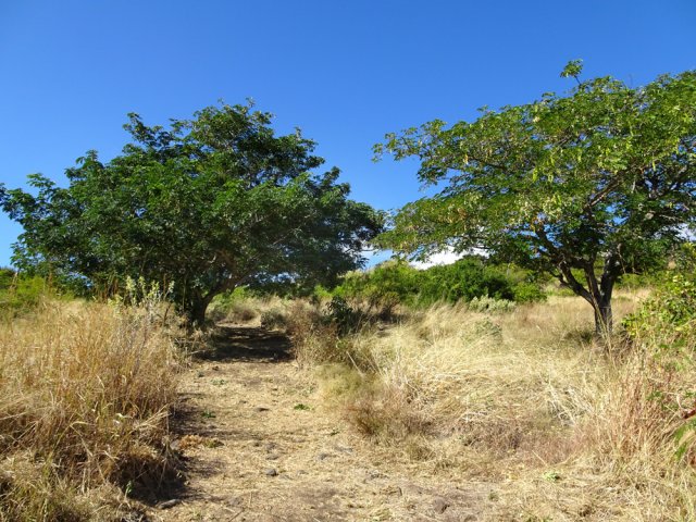 On imagine une large piste très bien remise en état