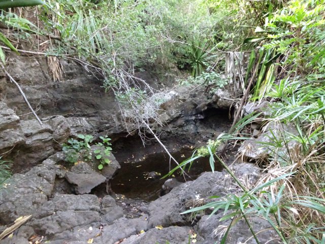 Traversée de la Ravine Bailly au fond rocheux abritant des bassins