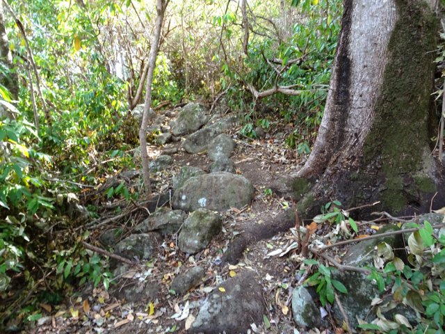 Le nouveau sentier monte parfois assez fortement
