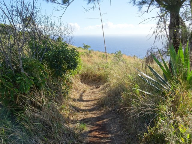 Il parvient plus bas à une savane qui permet déjà des points de vue sur la mer