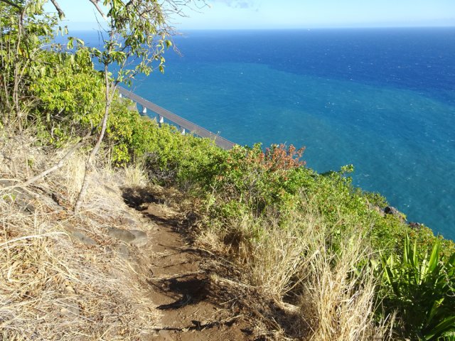 Puis il plonge fortement le long de la falaise pour des premières vues sur la NRL