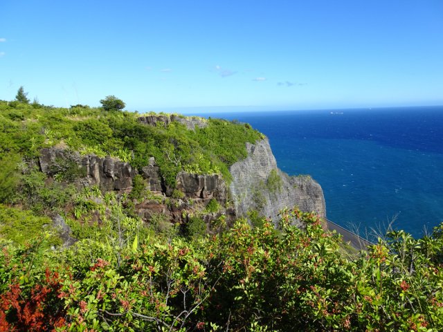 Les poivriers ne parviennent pas à masquer les paysages envahis d'immenses filets