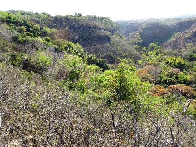 Point de vue sur l'amont de la vallée de la Ravine Saint-Gilles