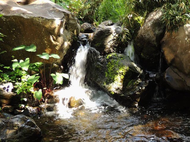 La ravine vers le barrage propose quelques petites chutes
