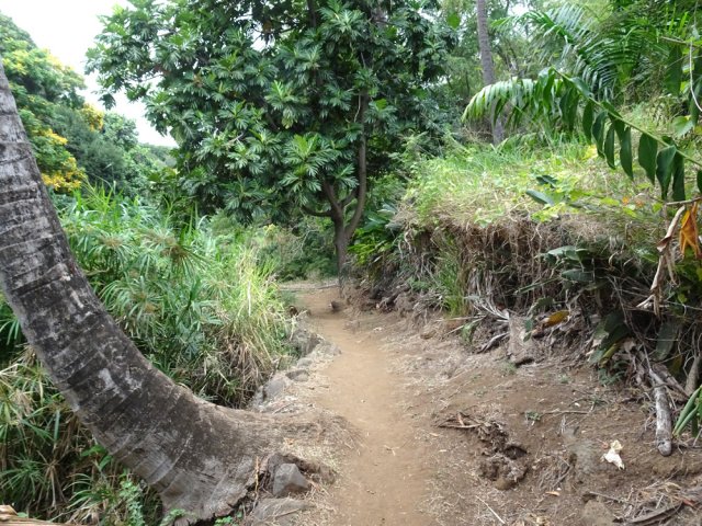 Sentier fréquenté très bien marqué