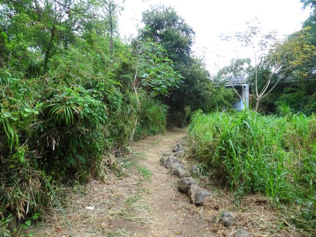 Bientôt la fin du sentier à l'approche du pont