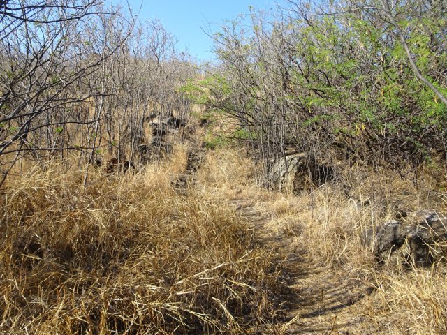 Le petit sentier menant au sommet de la colline en direction des antennes