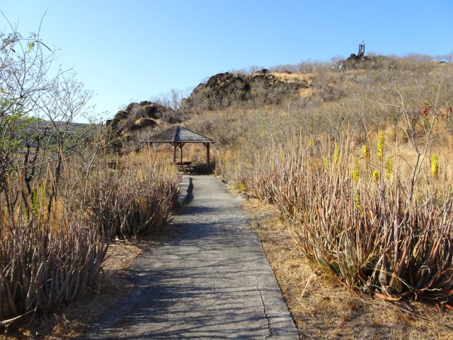 Court détour par le kiosque dans les aloès