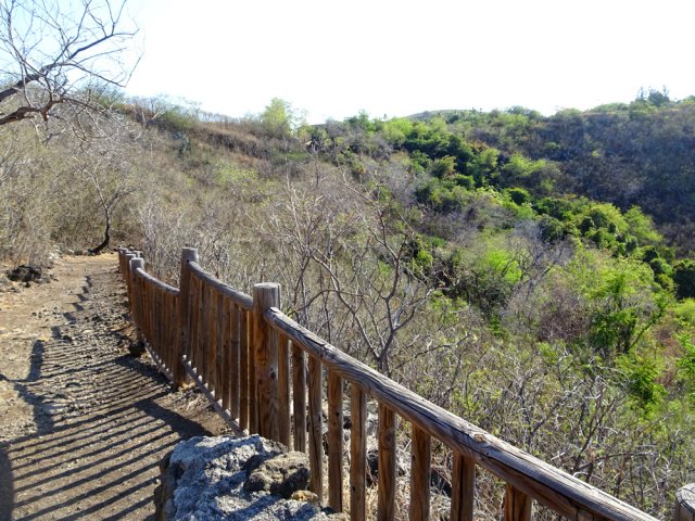 Début de la descente sur un large chemin terreux