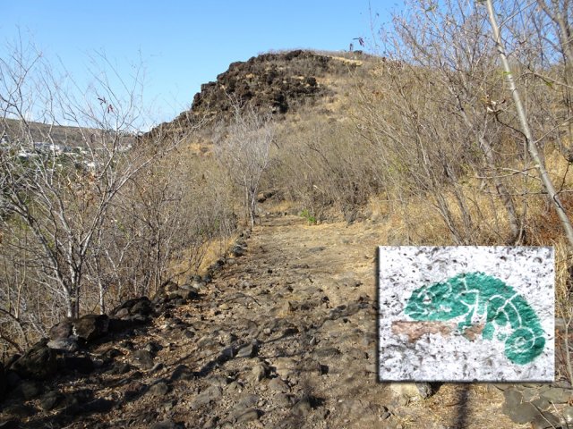 Le sentier des Caméléons est bordé de balises originales