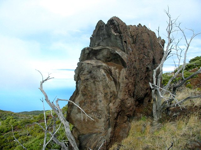Grand choix de belles sculptures un peu partout