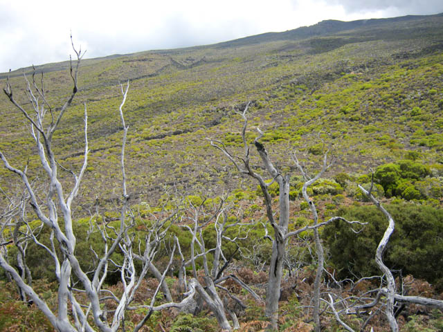 Un panorama sur la zone