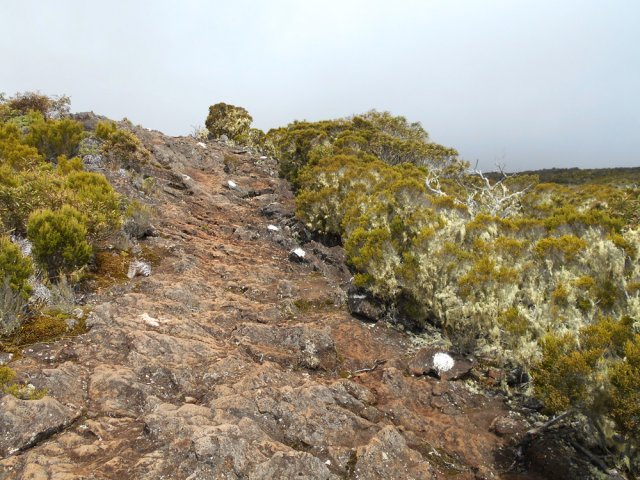 Sentier très bien balisé en raison des brouillards fréquents