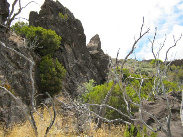 Le sentier longe quelques barres basaltiques dépassant du sol