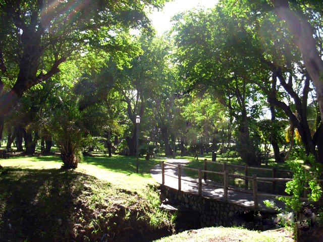 Une autre passerelle ombragée dans des plantations de grands arbres