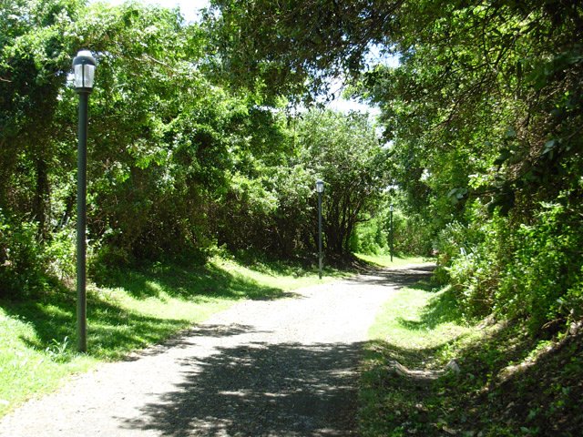 Agréable piste qui éloigne du bruit de la circulation