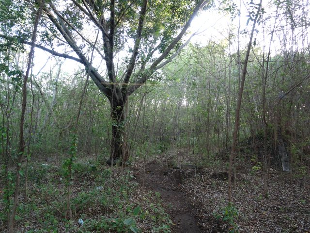 Le seul sentier de la journée au plus près de l'aéroport