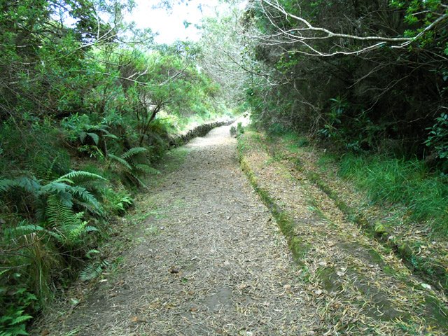 Cette portion, plus ombragée et terreuse est parfois glissante
