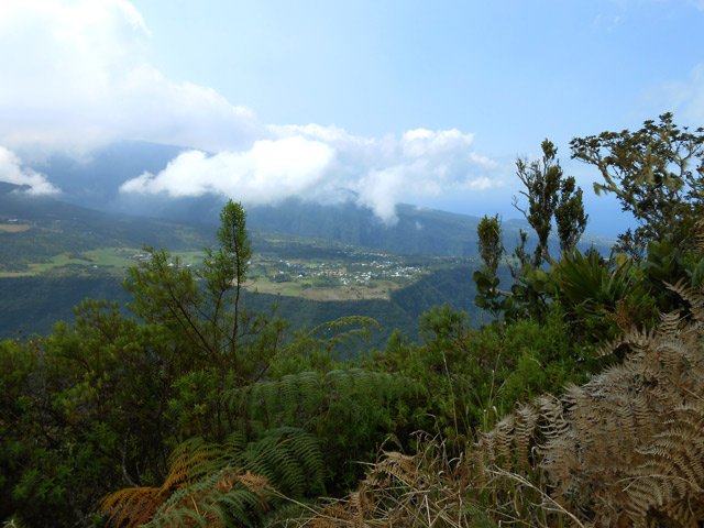 Une trouée dans la végétation pour repérer Grand Coude, de l'autre côté de la vallée