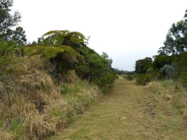 La piste est plate et herbeuse, donc agréable
