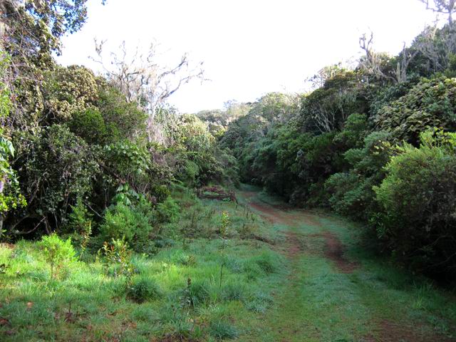 Un exemple de la piste qu'on suivra tout au long du parcours.