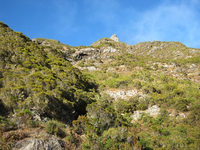 Une idée de la pente du Maïdo